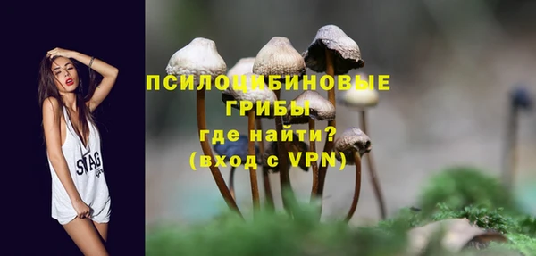 MDMA Premium VHQ Гвардейск